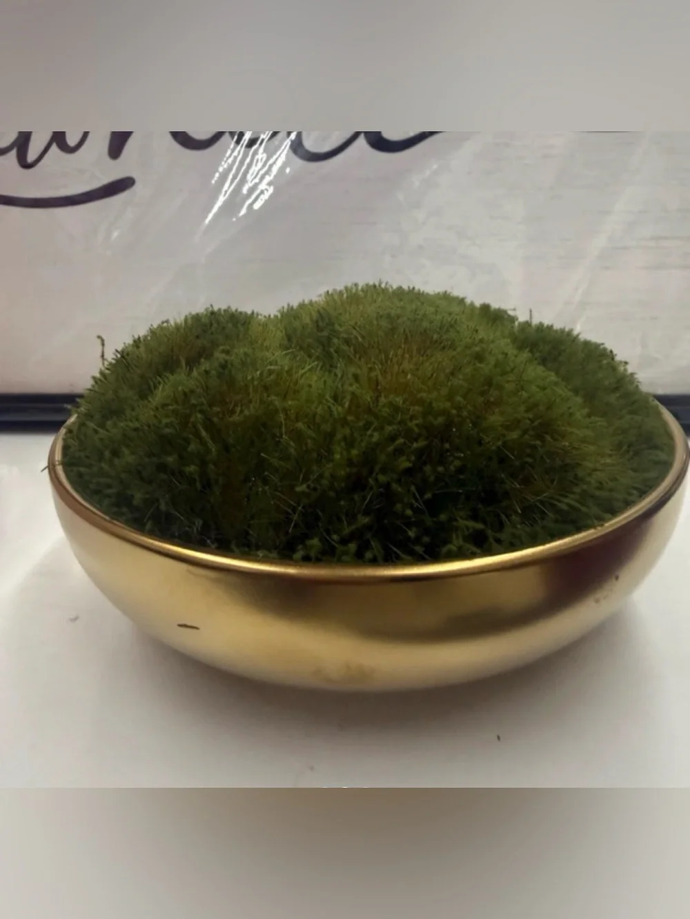 Gold Decorative Bowl with Green Moss Accent- Threshold